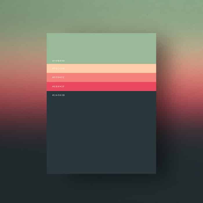 minimalist color palettes 04